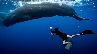 طلعلي حوت و انا بنص المحيط! - حوت العنبر ! 🐋 | Sperm Whale Diving