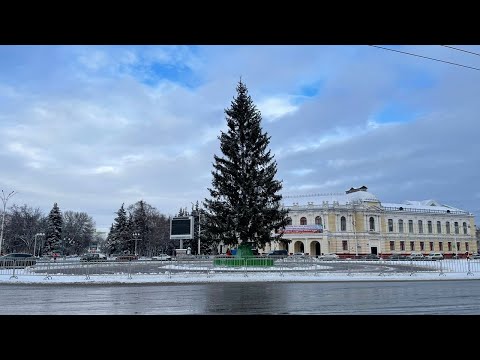 В центре Тамбова впервые в истории установили живую новогоднюю ель