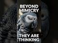 Parrots Have Names We Don't Know About #wildlife #shocking