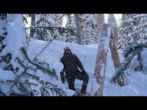 Видео: НЕДЕЛЮ В ТАЙГЕ | СТРОЮ ТЕРЕМОК ИЗ КЕДРА