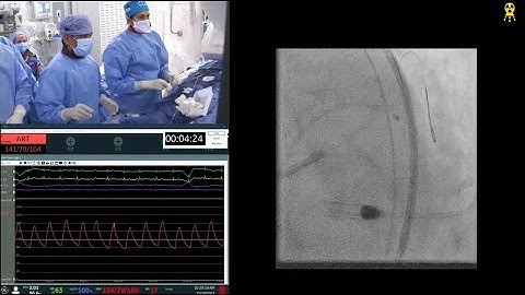 Live Relay - Heal Conclave 12.10.2021