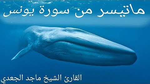 ماجد الجعدي من سوره يونس