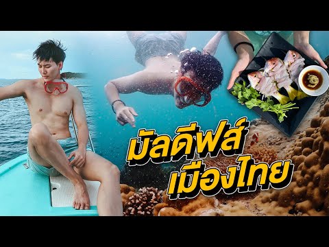 ดำน้ำเกาะแสมสาร 1 วัน ตกปลา กินซาซิมิ สุดชิบหาย !!! | ไปอยู่ไหนมา