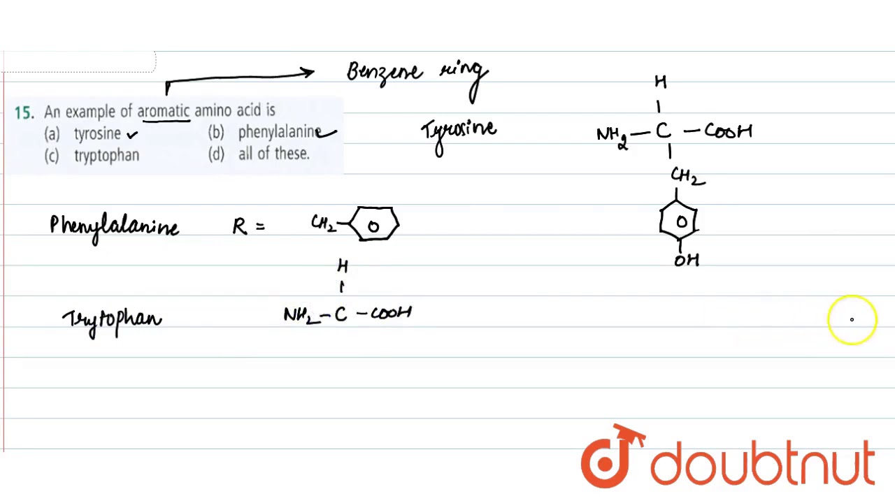 An Example Of Aromatic Amino Acid Is Youtube