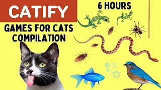 Games For Cats [Compilation]  6 HOURS  Snake, lizard, fish, rope, mice, cockroach, spider, bird...