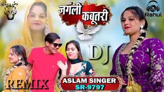 SR-9797 Aslam Singer New Mewati Dj Remix Song By Dj Rahul Vairagi 