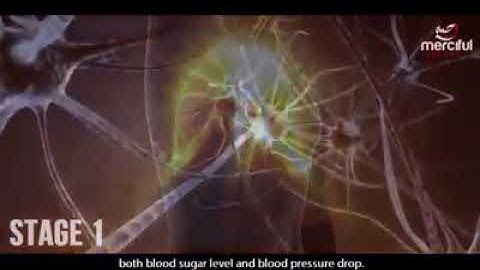 What happens to your body when you fast (during Ramadan)