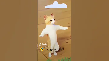 الواد ده مين ده رقاصة مصر One ترند اليوتيوب الاول القطة المشمشية الراقصة Shorts 2023 Funny 