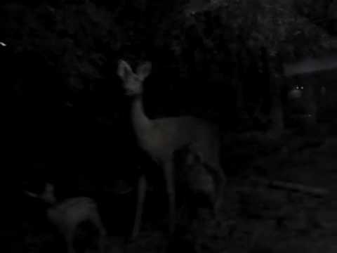 Video: Muzeu I Artit Bashkëkohor Me Theks Baltik