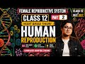 Human Reproduction for Class 12 &amp; Neet (Part-2) (NCERT Based Theory) 