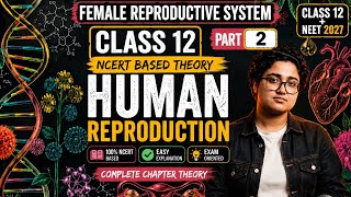 Human Reproduction for Class 12 &amp; Neet (Part-2) (NCERT Based Theory) 