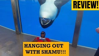 Seaworld Orlando Killer Whale Insider Tour & Review