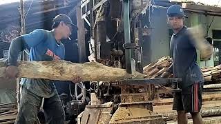 Amazing hardwood sawing techniques