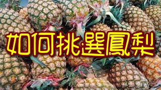 【開伙-不能說的秘密】如何挑選鳳梨 | How to pick a good pineapple