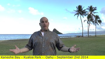 How to sell more by learning from other industries techniques - Scott Sylvan Bell