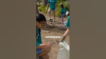 Why You’ll Never Regret Discipline | Stoic Mindset