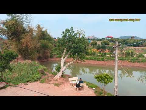 Video Đất vườn làm trang trại tuyệt đẹp ở Chiềng Mung - Sơn... - youtube