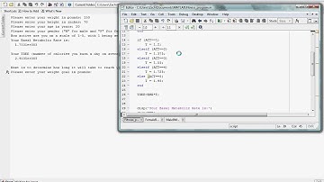 MATLAB video