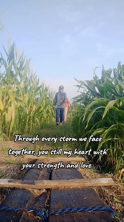 24 Agustus 2025, you  still my heart '#shorts