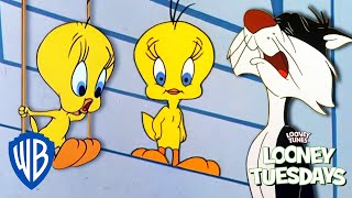 Looney Tuesdays | Did Tweety Taw a Putty Tat? | Looney Tunes | @WB Kids