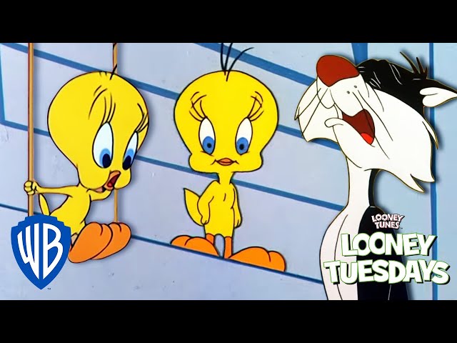 Looney Tuesdays | Did Tweety Taw a Putty Tat? | Looney Tunes | @WB Kids class=