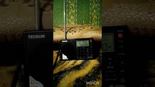 #2 &quot;батя&quot; vs Tecsun PL-310 FM диапазон антенны полностью выдвинуты