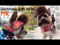 Шапка для собаки спицами 🐶Мастер-класс | Шапочка для йорка | DIY hat for dog