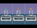 Foaming Capacity of Soap Experiment Quiz