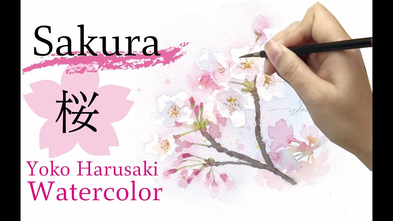 水彩画 桜の描き方 Watercolor Draw Cherry Blossoms Sakura Yoko