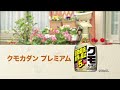 クモカダン プレミアム