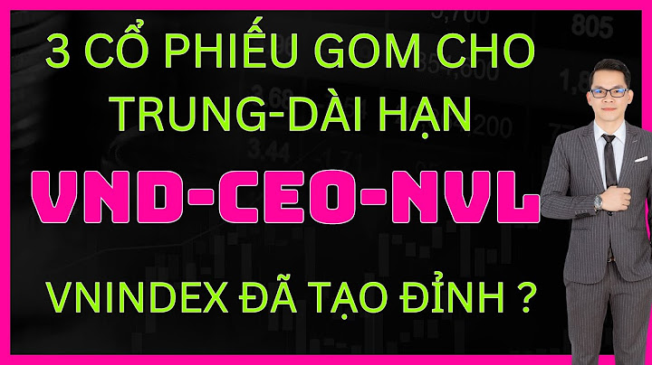 Đánh giá cổ phiếu ceo 2023 năm 2024