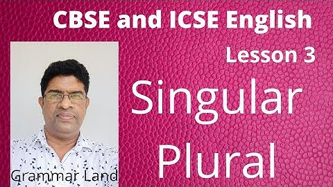 singular and plural, error correction