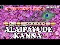 Alaipaayuthe| Karnatic  flute  music  Instrumental music| | Flute juke box|