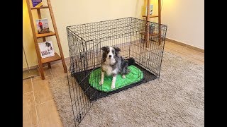 Εκπαίδευση σκύλου σε κρέιτ (crate training)