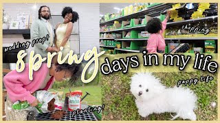 DAYS IN MY LIFE| Wedding Prep, Gardening, Shop With Me & Planting Seeds| Cozy Spring Vlog  *asmr*