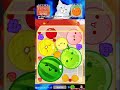 フラグ建築士が柿をツモる方法【スイカゲーム】 #Shorts