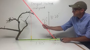 Tangent Method on Flat Ground | Video Series on Tree Height Measurement