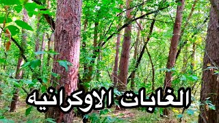 مالا تعرفه عن الغابات في اوكرانيا مع خالد هريدي