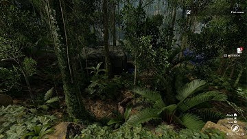 Green Hell PS5 Frame Rate Issue