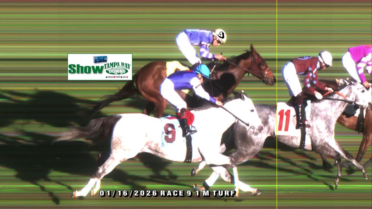 Tampa Bay Downs Live Stream