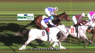 Tdana Bay Downs  Stream