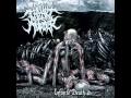 Thy art is murder parasitic autopsy