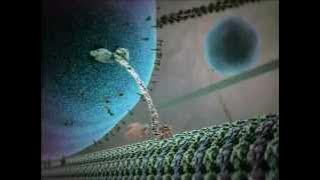 Kinesin protein walking on microtubule