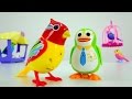 Toys: интерактивные поющие птички DigiBirds и пингвин - для детей