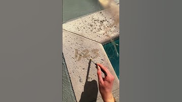 ￼ if I guess your battery percentage you’re out ASMR game #fyp #asmr #asmrgame #relaxing