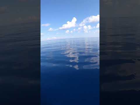 Видео: Какой океан самый чистый?