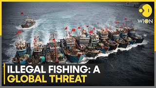 Illegal fishing becomes a global threat, leads to loss of 26 million tonnes fish annually | WION