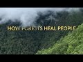 Forest Bathing | Shinrin-Yoku | Healing in Nature | Short Documentary