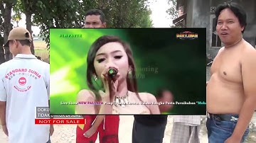 JIHAN AUDY - JURAGAN EMPANG (New Pallapa) Jylo Manise