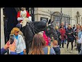 Boy screams as massive horse q10 bites his head parents are at fault at horse guards